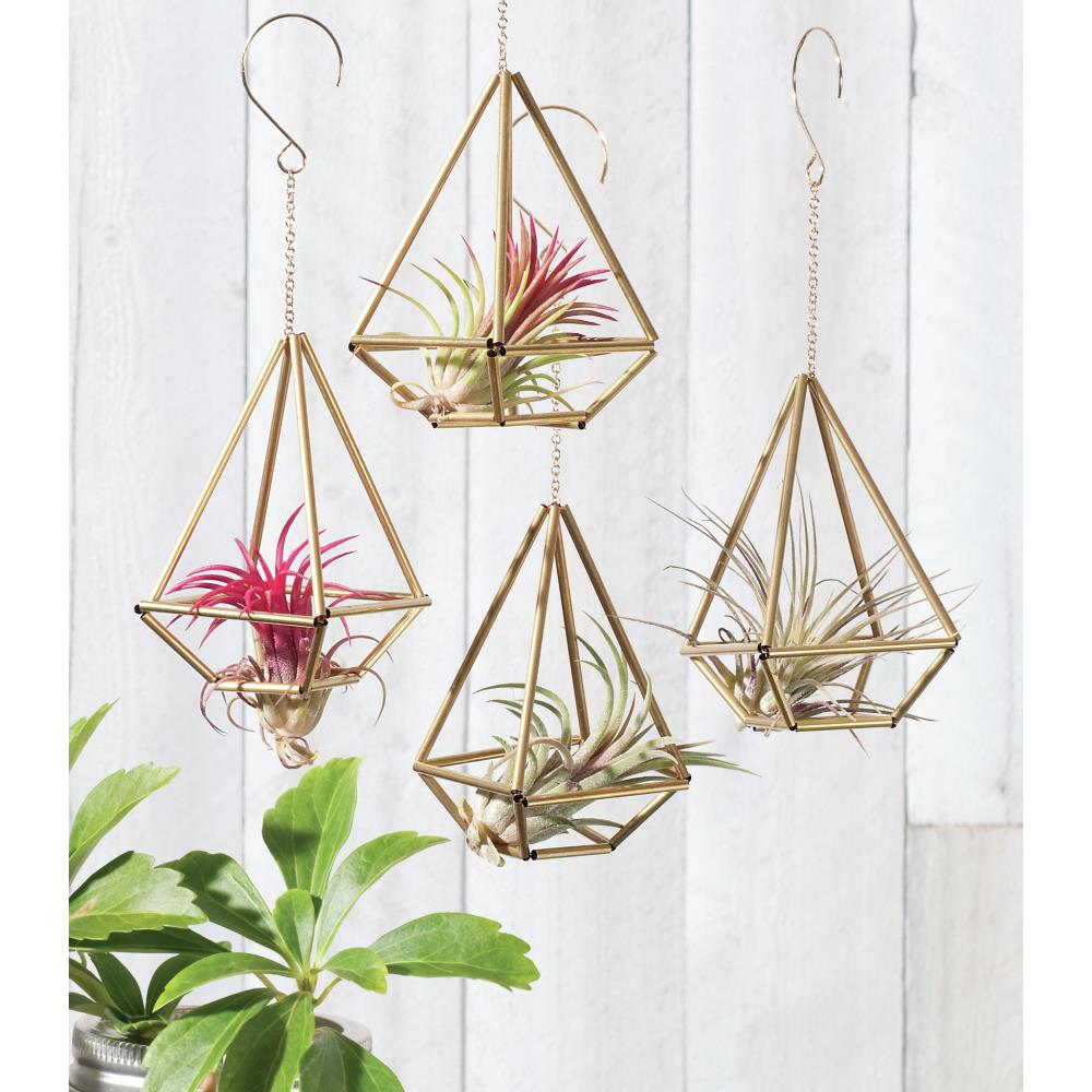 Ornament Kits