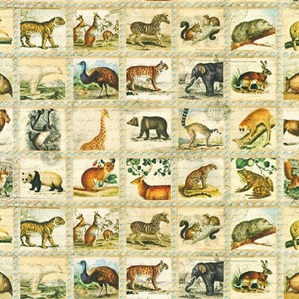 Animals in Vintage - Library of Rarities