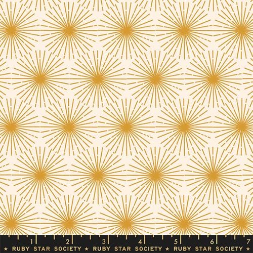 Beaming in Cactus - Sunbeam - Rashida Coleman Hale for RSS