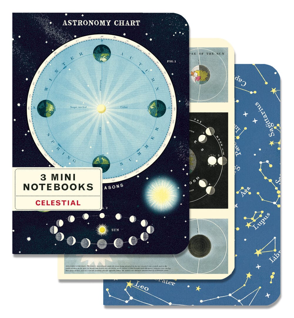 Default Cavallini & Co Mini Notebook Celestial 3 pack