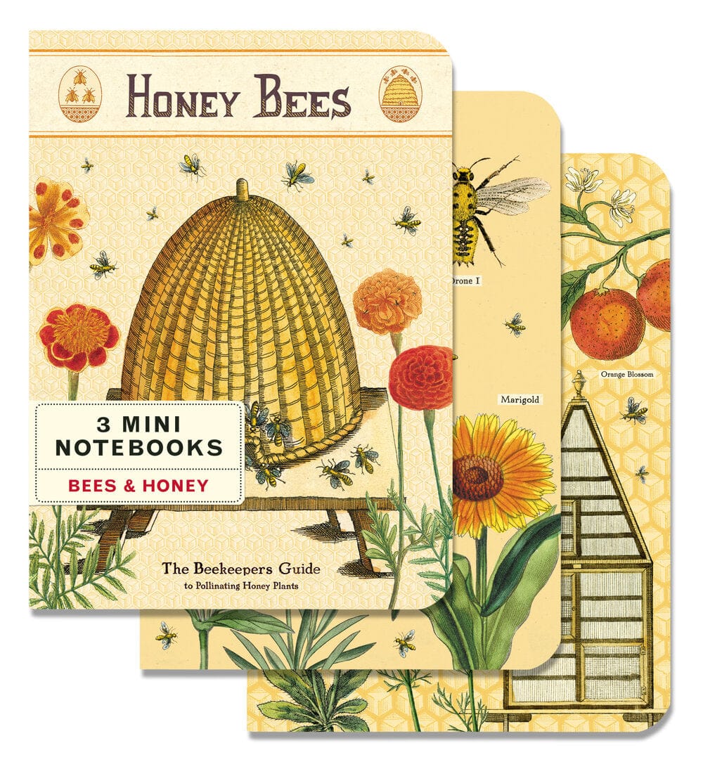 Default Cavallini & Co Mini Notebook Honey Bees 3 pack