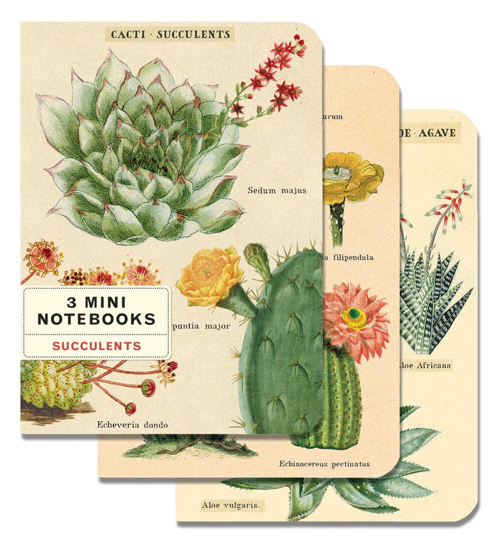 Default Cavallini & Co Mini Notebook Succulents 3 pack