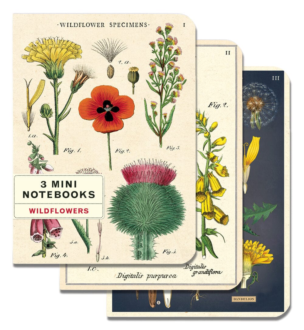 Default Cavallini & Co Mini Notebook Wildflowers 3 pack