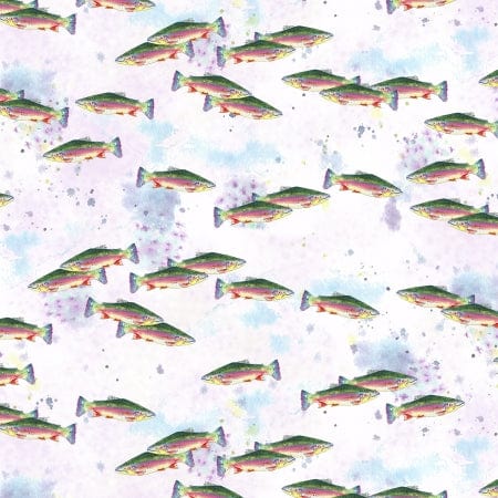 Cool Water in Rainbow - Wild and Wonderful