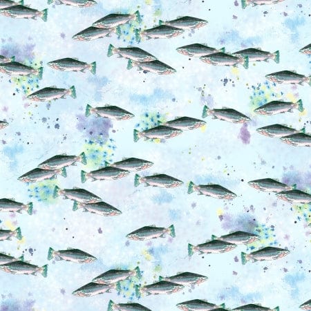 Cool Water in River - Wild and Wonderful