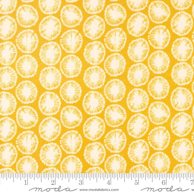 Default Dandelions in Golden - Willow