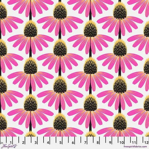 Echinacea in True - Love Always, AM - Anna Maria