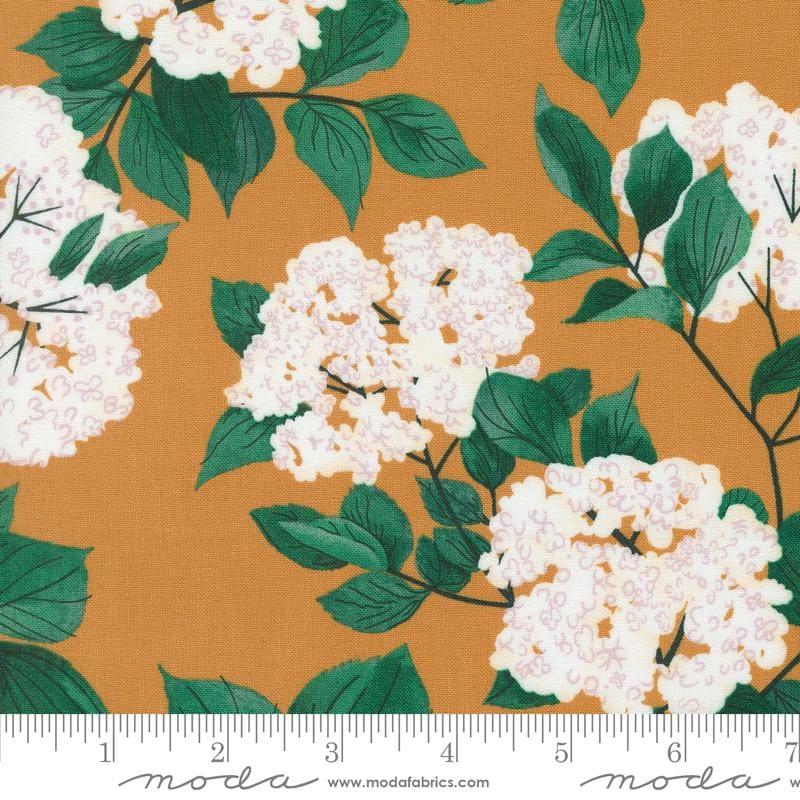 Default Elderberry Blossoms in Amber - Love Letter - Lizzy House