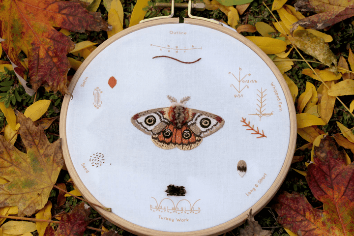 Embroidery Sampler ~ Moth