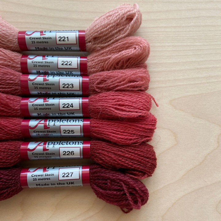 Individual Appleton Crewel Wool Skeins from the Bright Terra Cotta Colorway