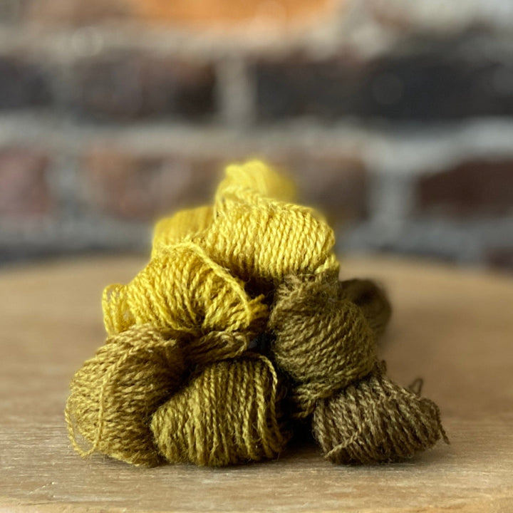 Individual Appleton Crewel Wool Skeins from the Brown Olive Colorway