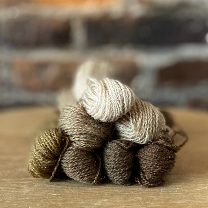 Individual Appleton Crewel Wool Skeins from the Drab Fawn Colorway