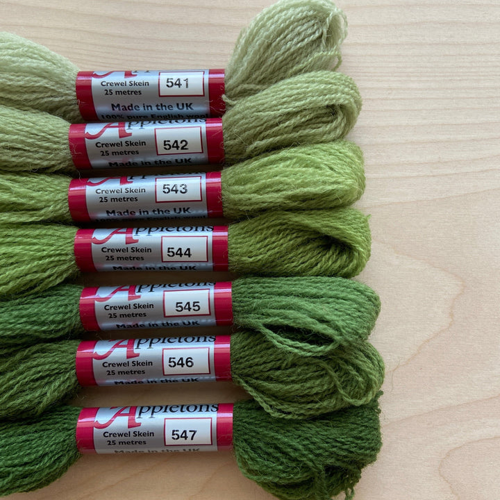 Individual Appleton Crewel Wool Skeins from the Early English Green Colorway