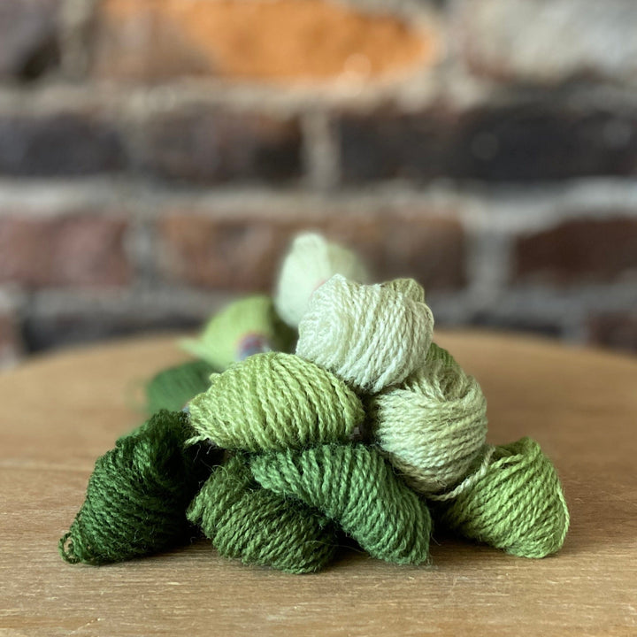 Individual Appleton Crewel Wool Skeins from the Early English Green Colorway