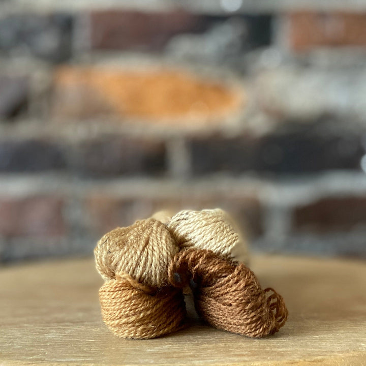 Individual Appletons Crewel Wool Skeins from the Golden Brown Colorway