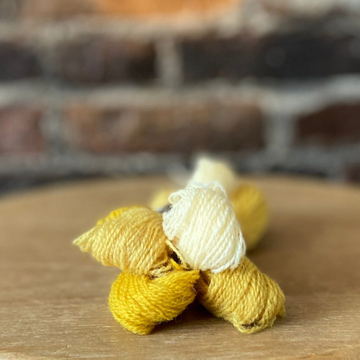 Individual Appletons Crewel Wool Skeins from the Heraldic Gold Colorway