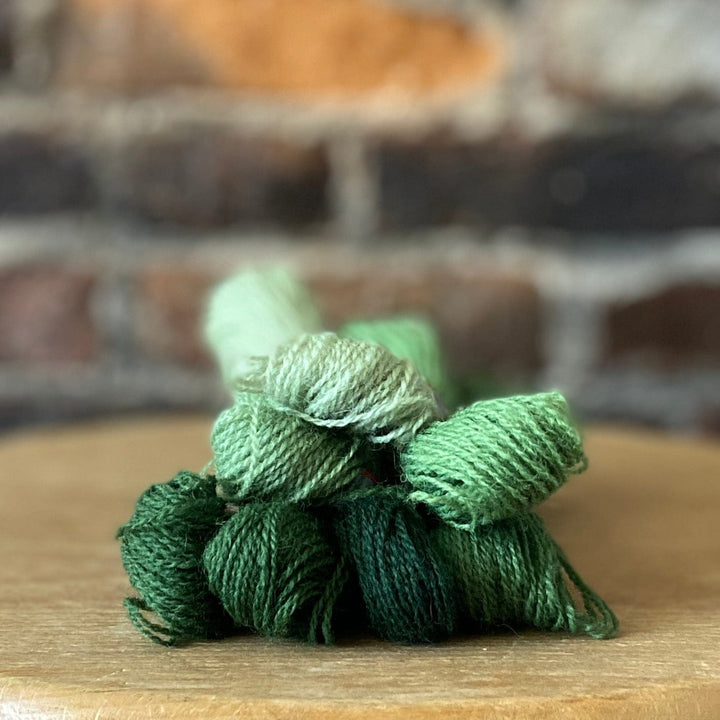 Individual Appletons Crewel Wool Skeins from the Sea Green Colorway