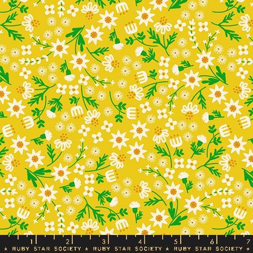 Default Inflorescence in Golden Hour - Favorite Flowers - RSS