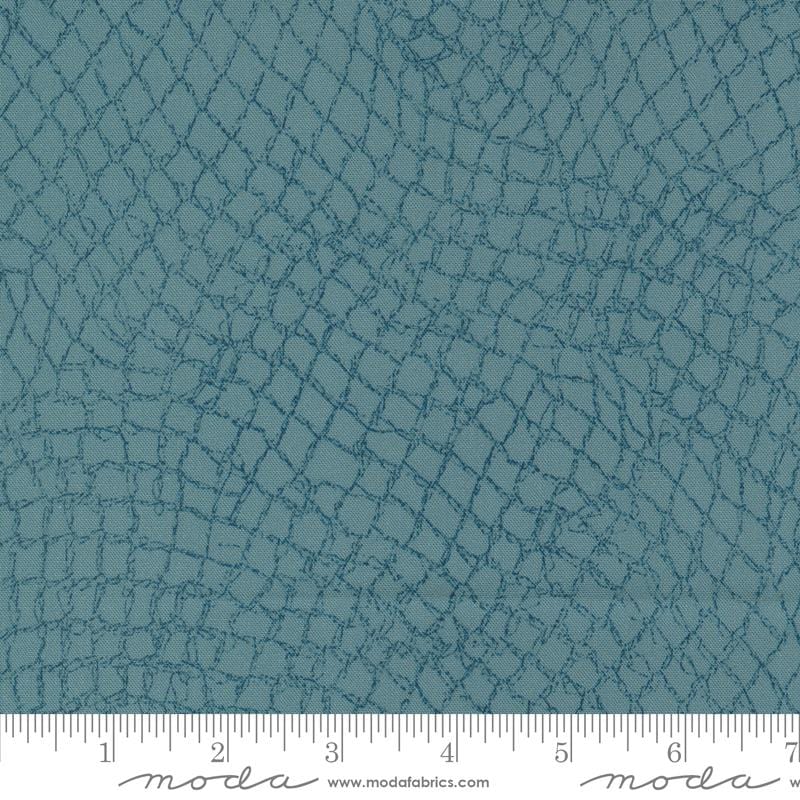 Default Net in Haze - Longshore