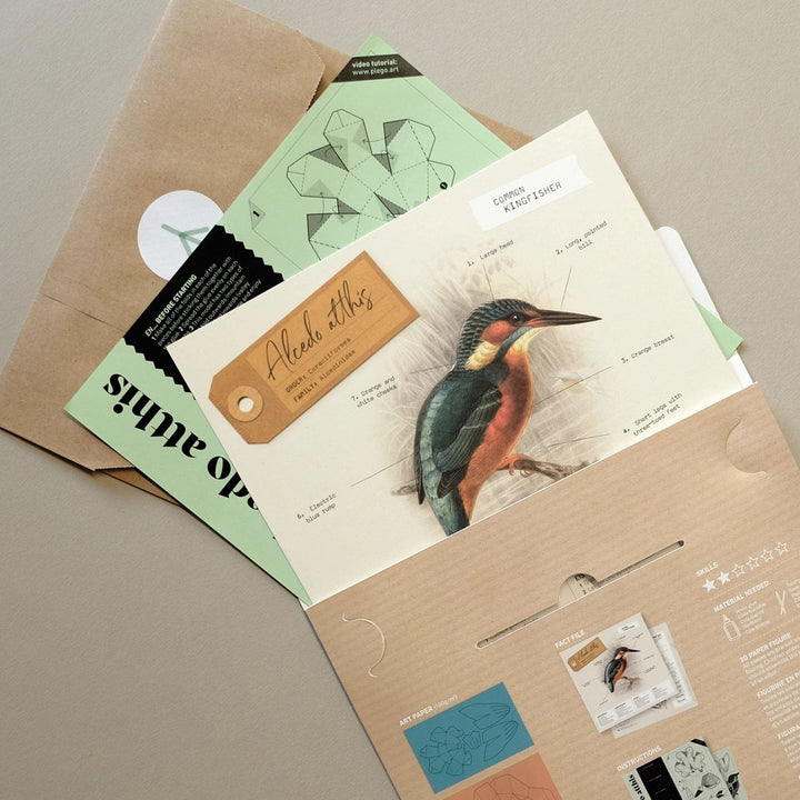 Default Plego 3D Paper Bird Kit - Alcedo Atthis