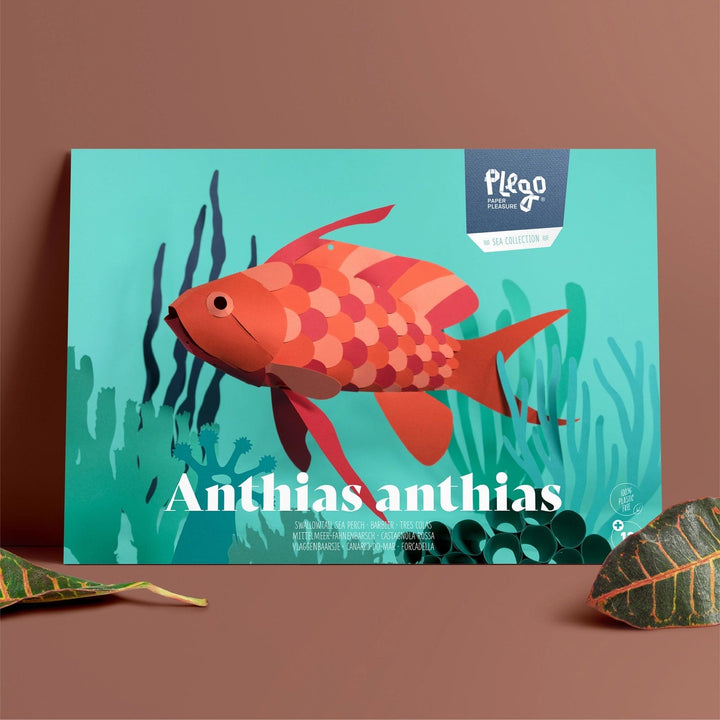 Default Plego 3D Paper Bird Kit - Anthias Anthias - Paper Fish