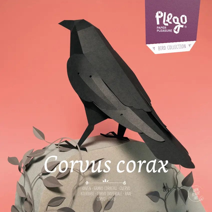 Default Plego 3D Paper Bird Kit - Corvus Corax