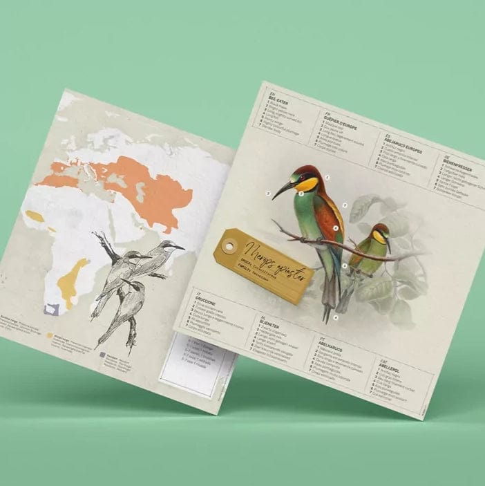 Default Plego 3D Paper Bird Kit - Merops Apiaster