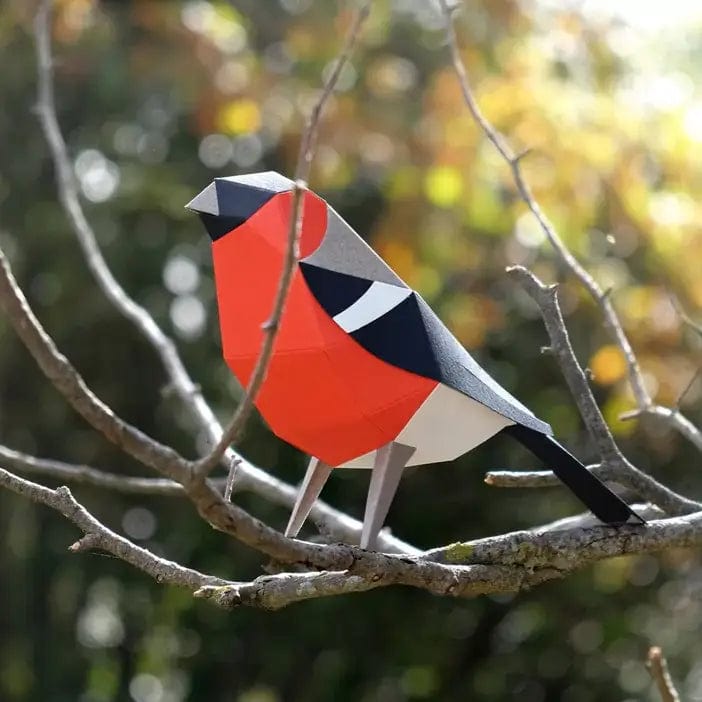 Default Plego 3D Paper Bird Kit - Pyrrhula Pyrrhula