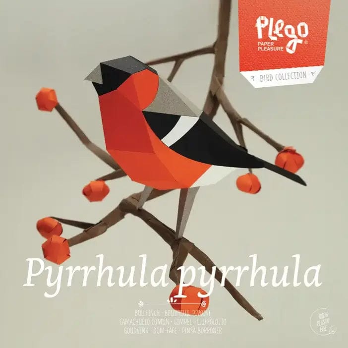 Default Plego 3D Paper Bird Kit - Pyrrhula Pyrrhula