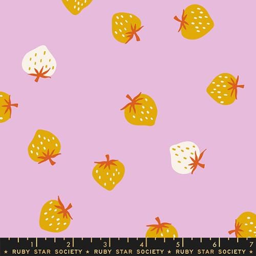 Default Strawberry in Macaron - Picture Book - RSS
