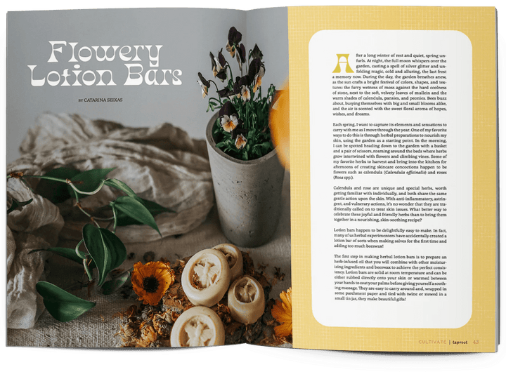 Taproot Magazine: Issue 56 - CULTIVATE