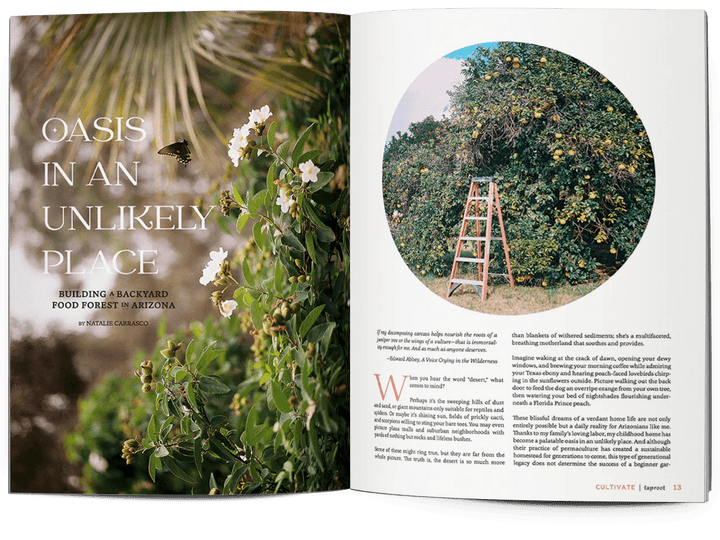 Taproot Magazine: Issue 56 - CULTIVATE