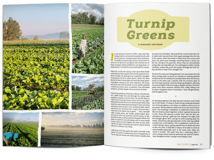Taproot Magazine: Issue 56 - CULTIVATE