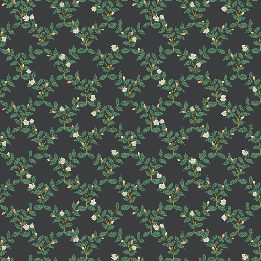Arbor Rose in Black Metallic - Bramble by Rifle Paper Co.
