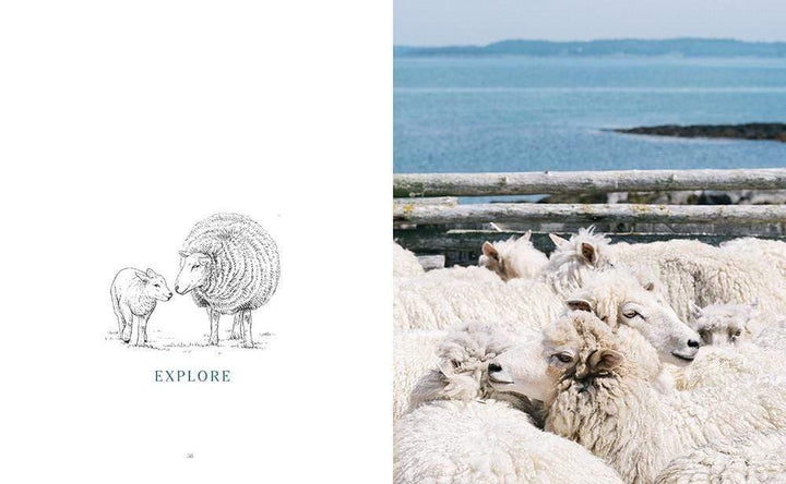 Making Magazine: Issue 2: Fauna