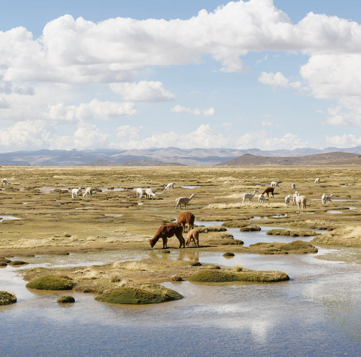 Selvedge Magazine - Issue 104