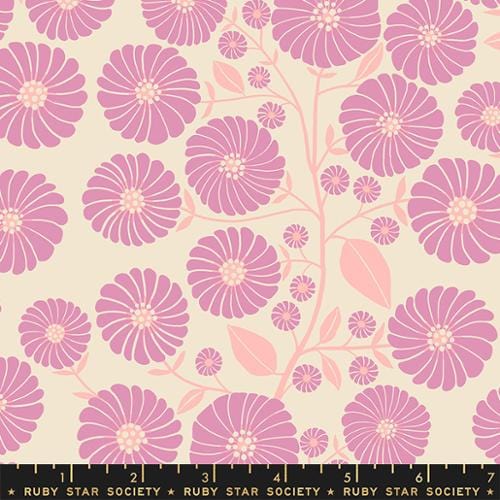 Starflower in Kiss - Floradora - Jen Hewett for RSS