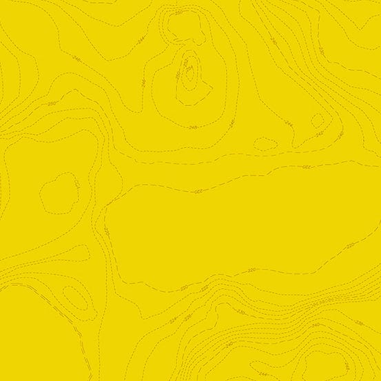 Topography in Lemon - Sun Print 2023 - Alison Glass