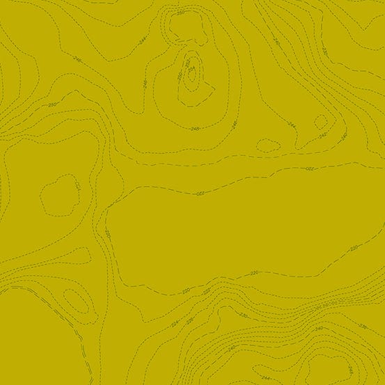 Topography in Toad - Sun Print 2023 - Alison Glass