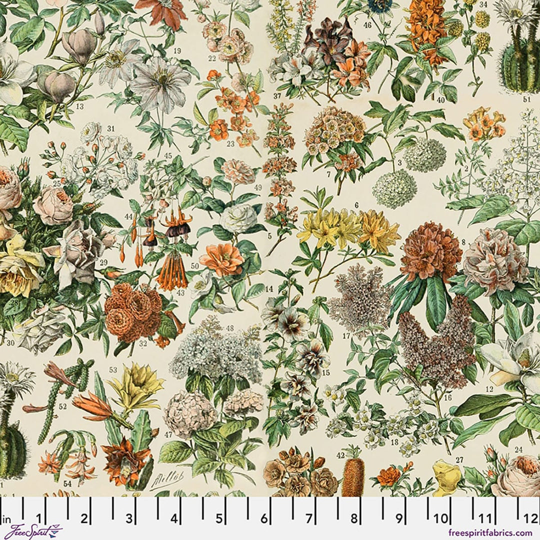 Default Botanical in Orange CANVAS - Tim Holtz