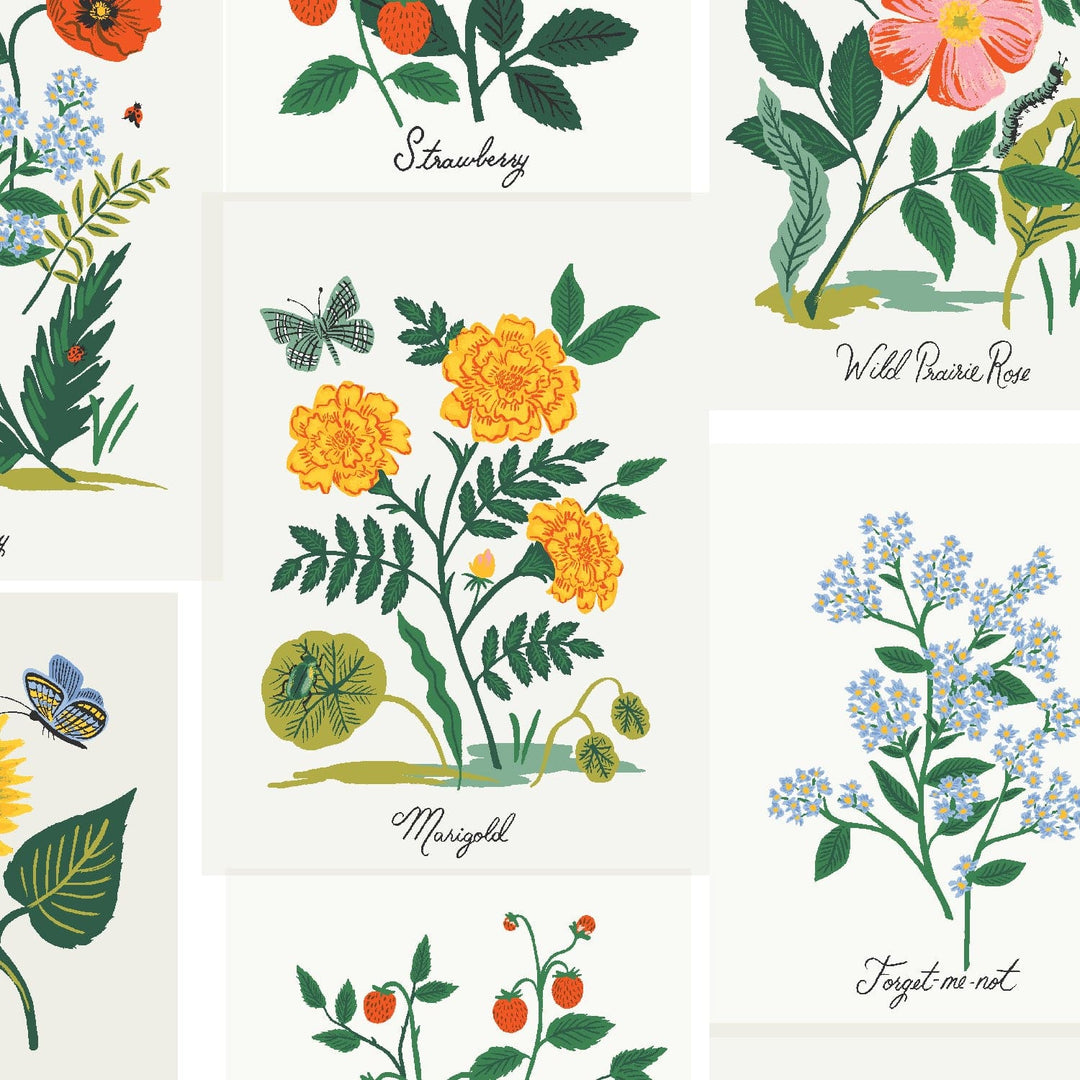 Default Botanical Print in Pink Multi, CANVAS - Curio - Rifle Paper Co