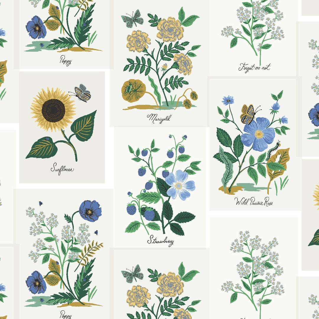 Default Botanical Prints in Blue Multi - Curio - Rifle Paper Co.
