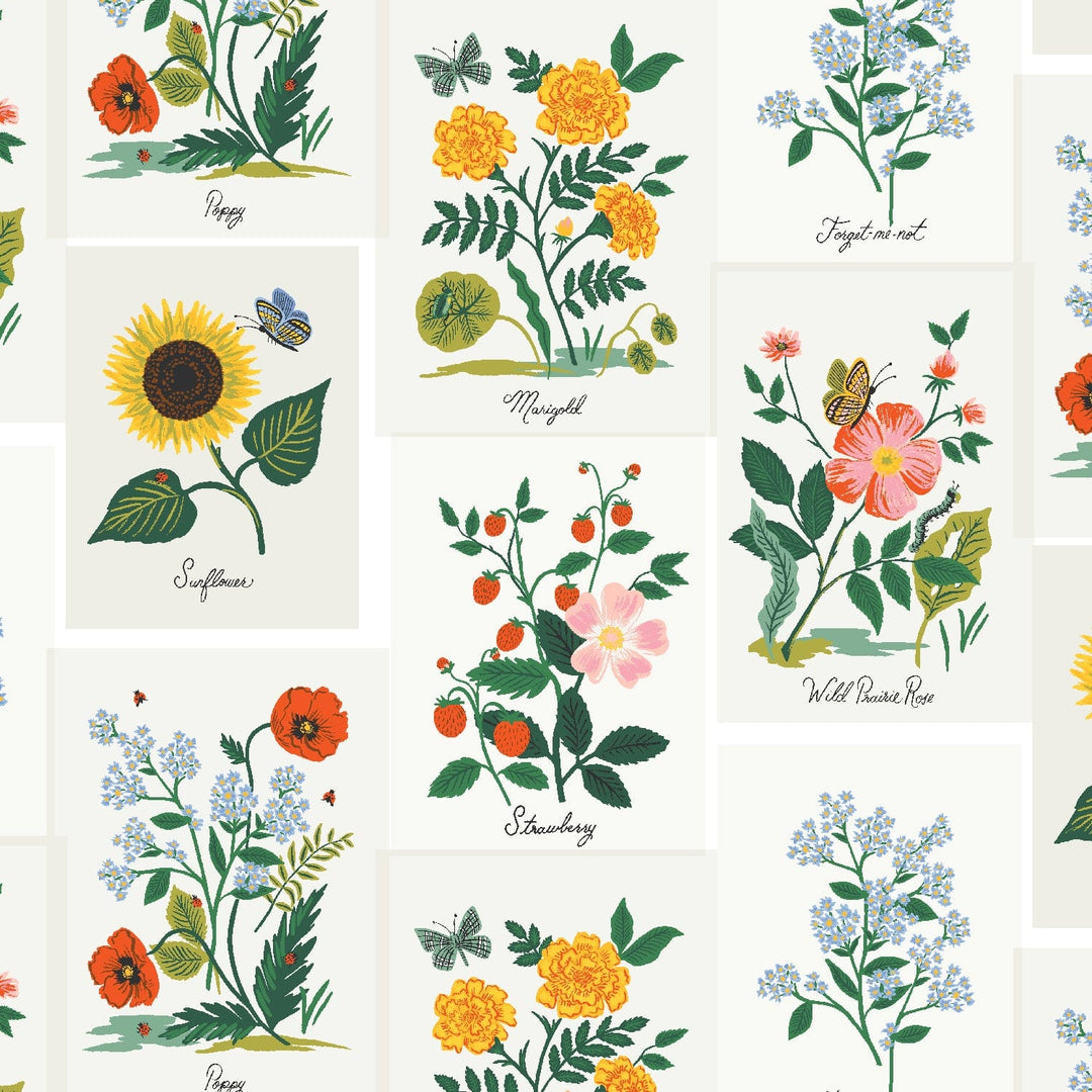 Default Botanical Prints in Pink Multi - Curio - Rifle Paper Co.