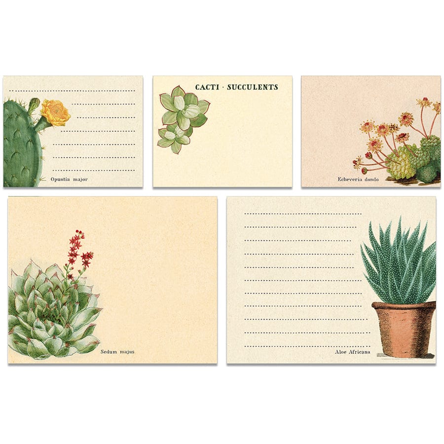 Default Cavallini & Co Sticky Notes in a Tin - Cacti & Succulents