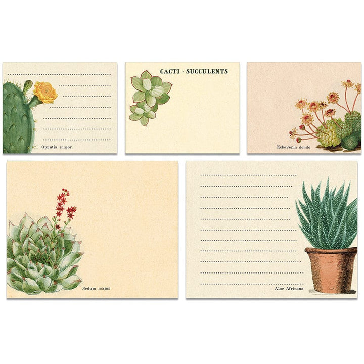 Default Cavallini & Co Sticky Notes in a Tin - Cacti & Succulents