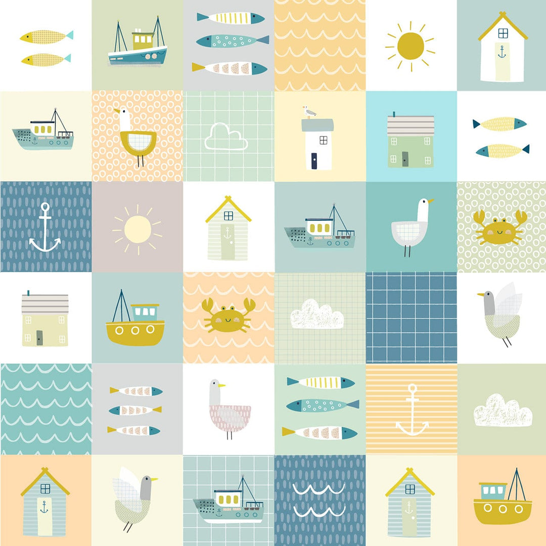 Default Coast in Multi - Coast Dashwood Studio