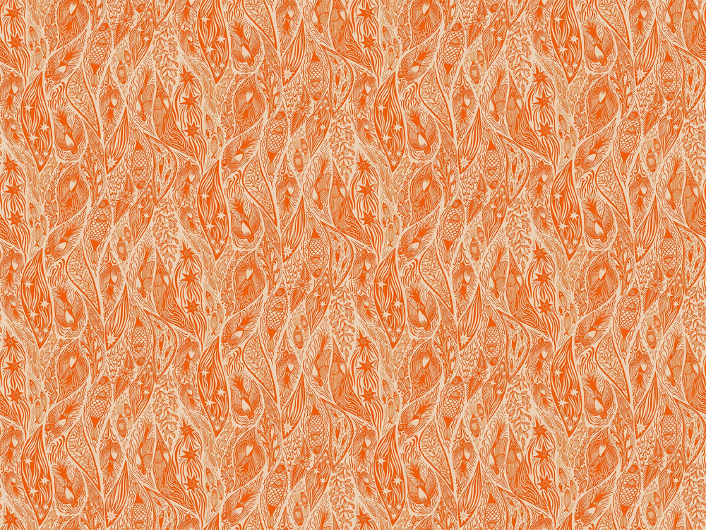 Default Current in Tangerine - Shooting Star - Anna Maria Textiles
