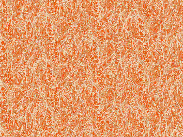 Default Current in Tangerine - Shooting Star - Anna Maria Textiles