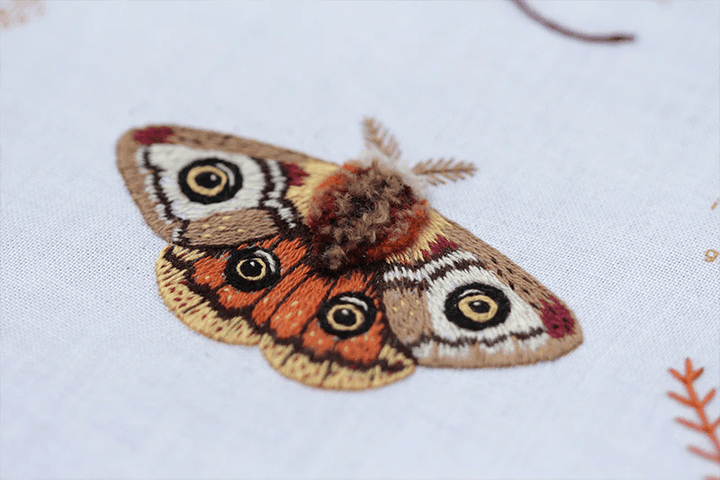 Embroidery Sampler ~ Moth