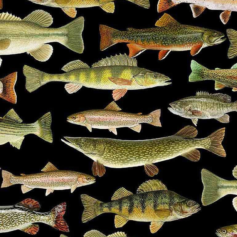 Default Fish on Black - Woodland Retreat - Timeless Treasures